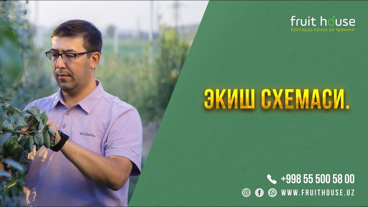 Экиш схемаси. #agro #agronomia #agrar #agranews #agronomy