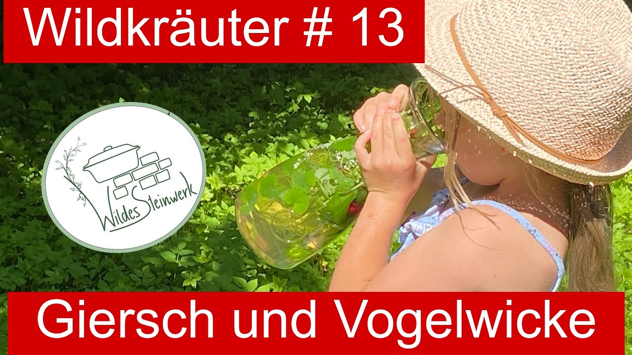 Almdudler selber machen aber wie? Giersch und Vogelwicke einfach erklärt! | Wildes Steinwerk 🌿
