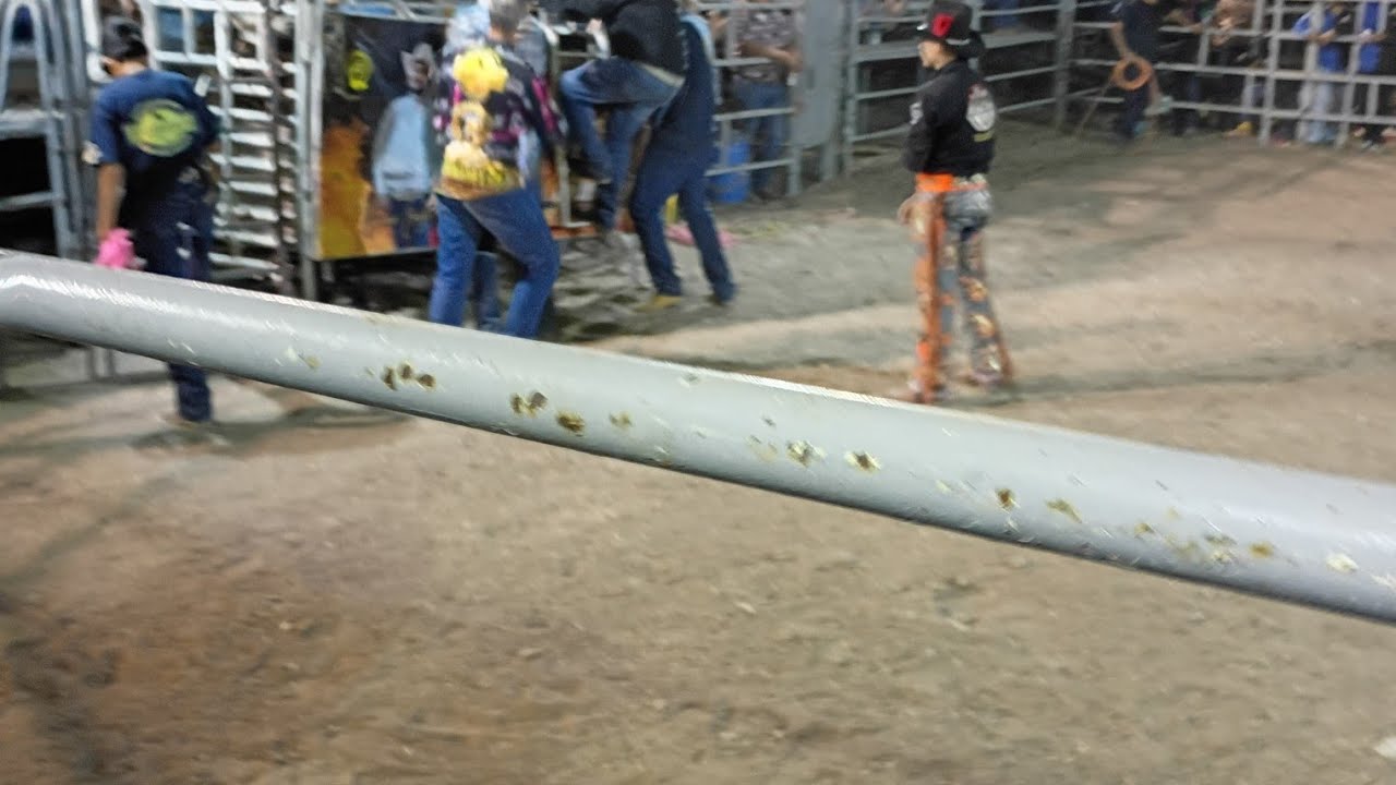 Toros en Ameca Jalisco 