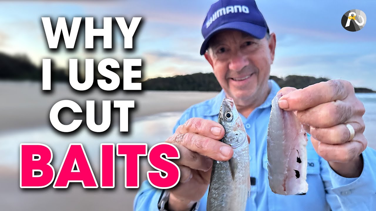 Are Cut Baits the Tactic to Landing MONSTER Fish?!