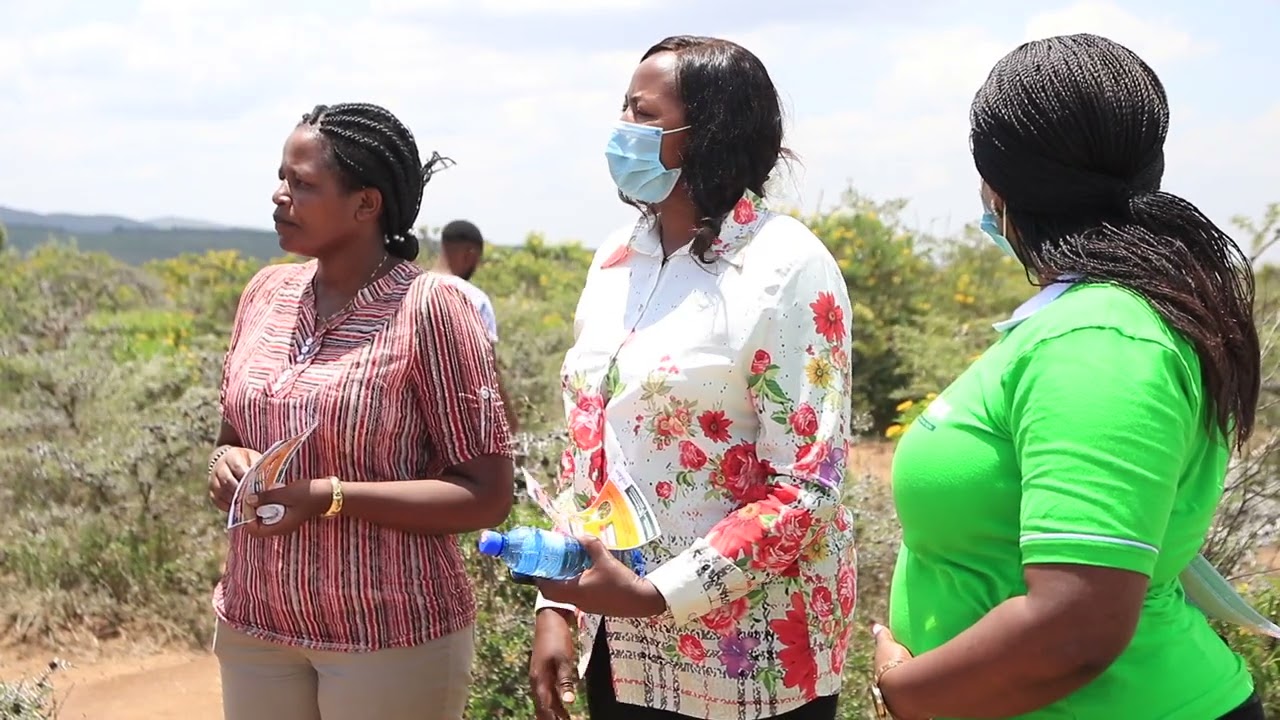 WHO OWNS GILGIL?