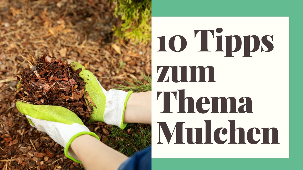 10 Tipps zum Thema Mulchen