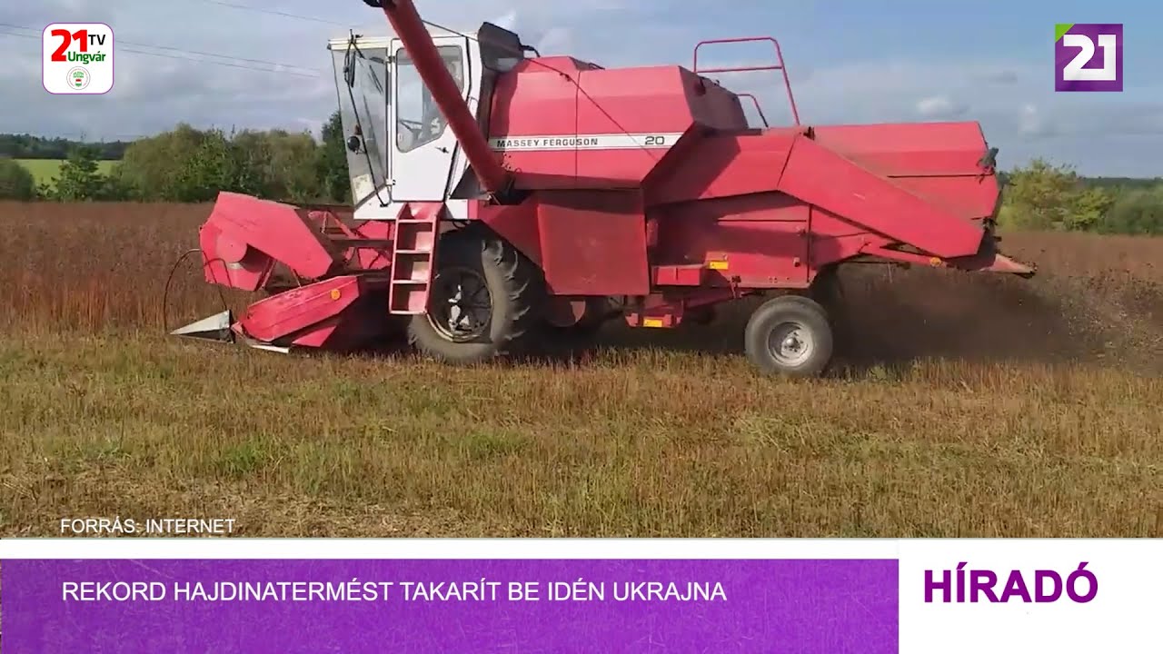 Rekord hajdinatermést takarít be idén Ukrajna