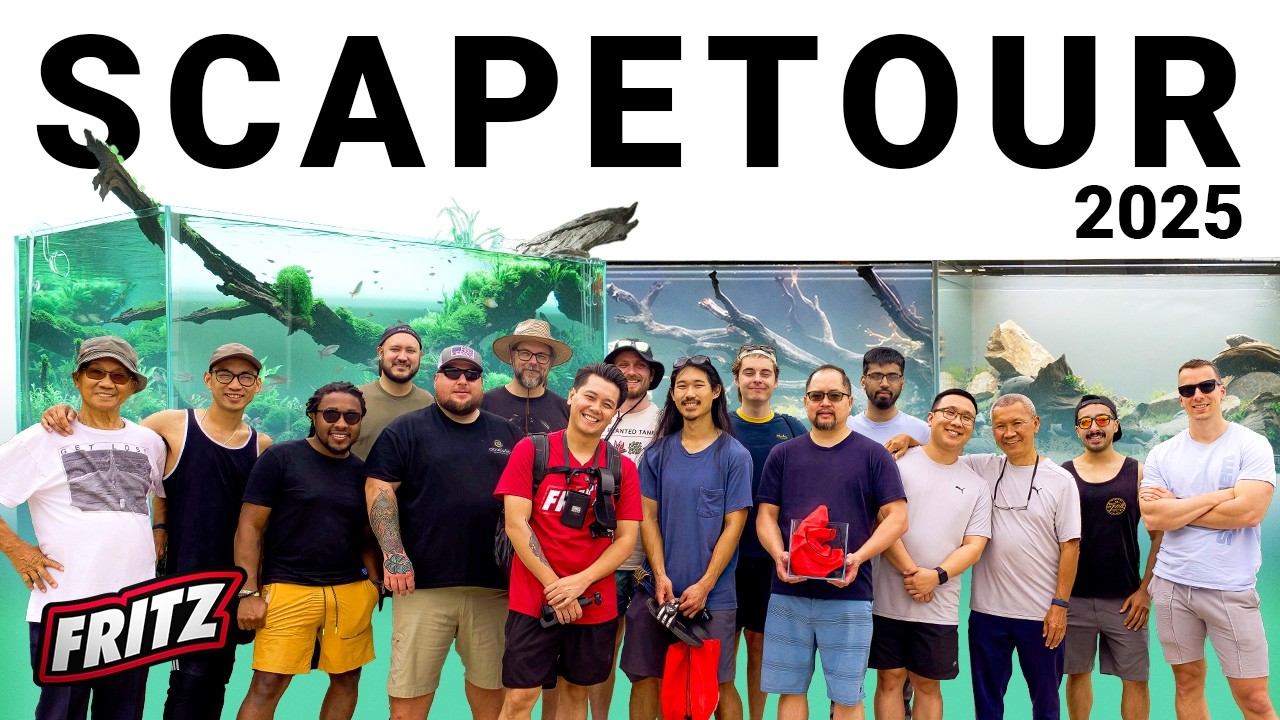 SCAPETOUR : How To Find Inspiration For Your Aquarium