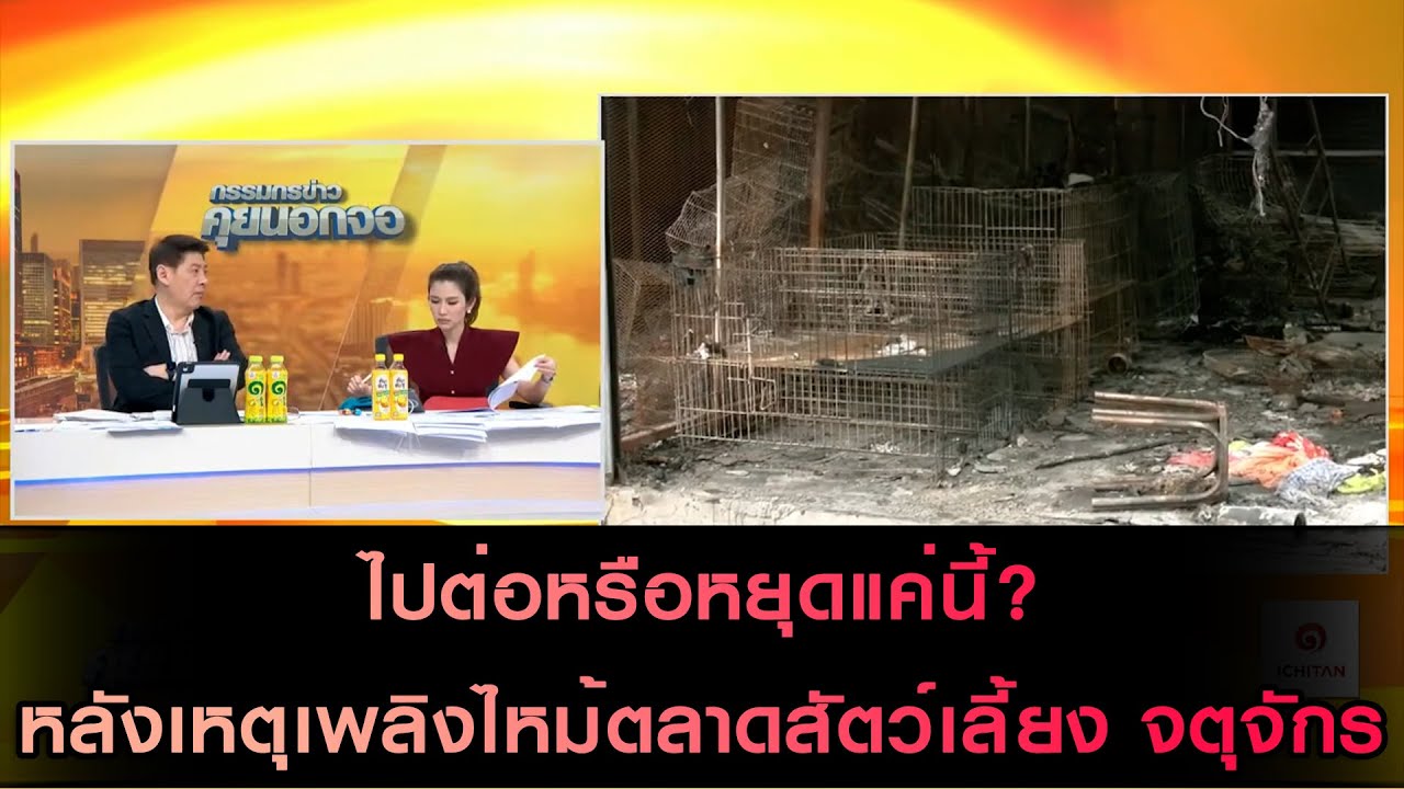 ไปต่อหรือหยุดแค่นี้? หลังเหตุเพลิงไหม้ตลาดสัตว์เลี้ยง จตุจักร