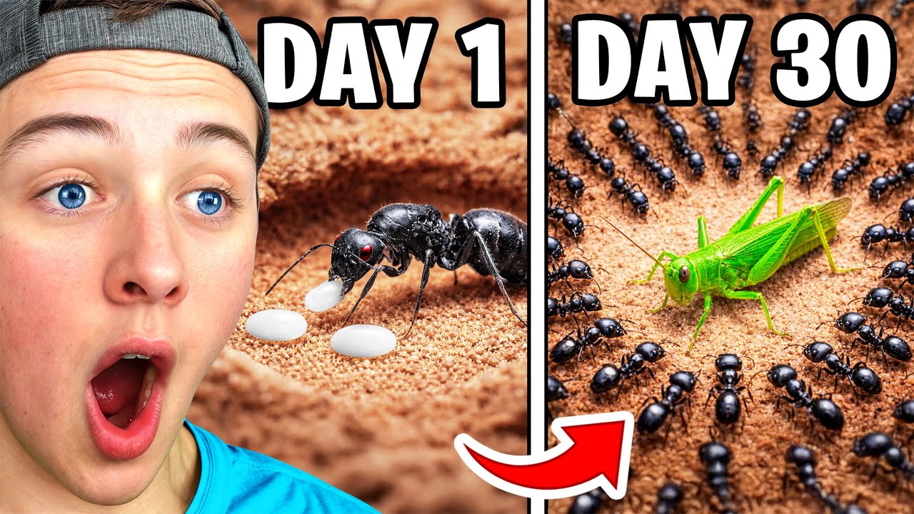 What If You Simulated an ANT COLONY for 30 DAYS?!