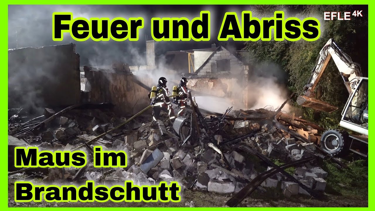 🔥FEUER ZERSTÖRT Dreiseitenhof in Zwenkau❗Keine Überlebenschance im Vogelkäfig❌️Großeinsatz🚒