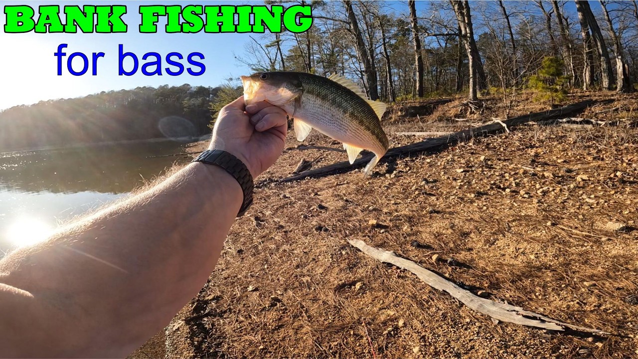 Bank Fishing For Bass Sometimes You Win Sometimes You Lose