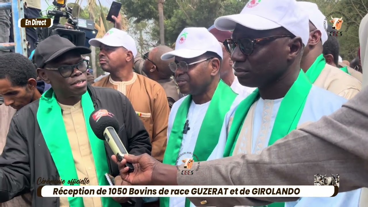 Politique d'élevage : le ministre Mabouba Diagne démarre par l'étude d'un troupeau de 1050 têtes