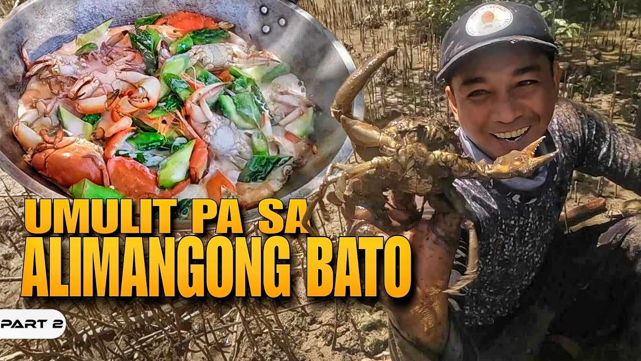 P2-BINALIKAN ANG ALIMANGONG BATO - EP1295