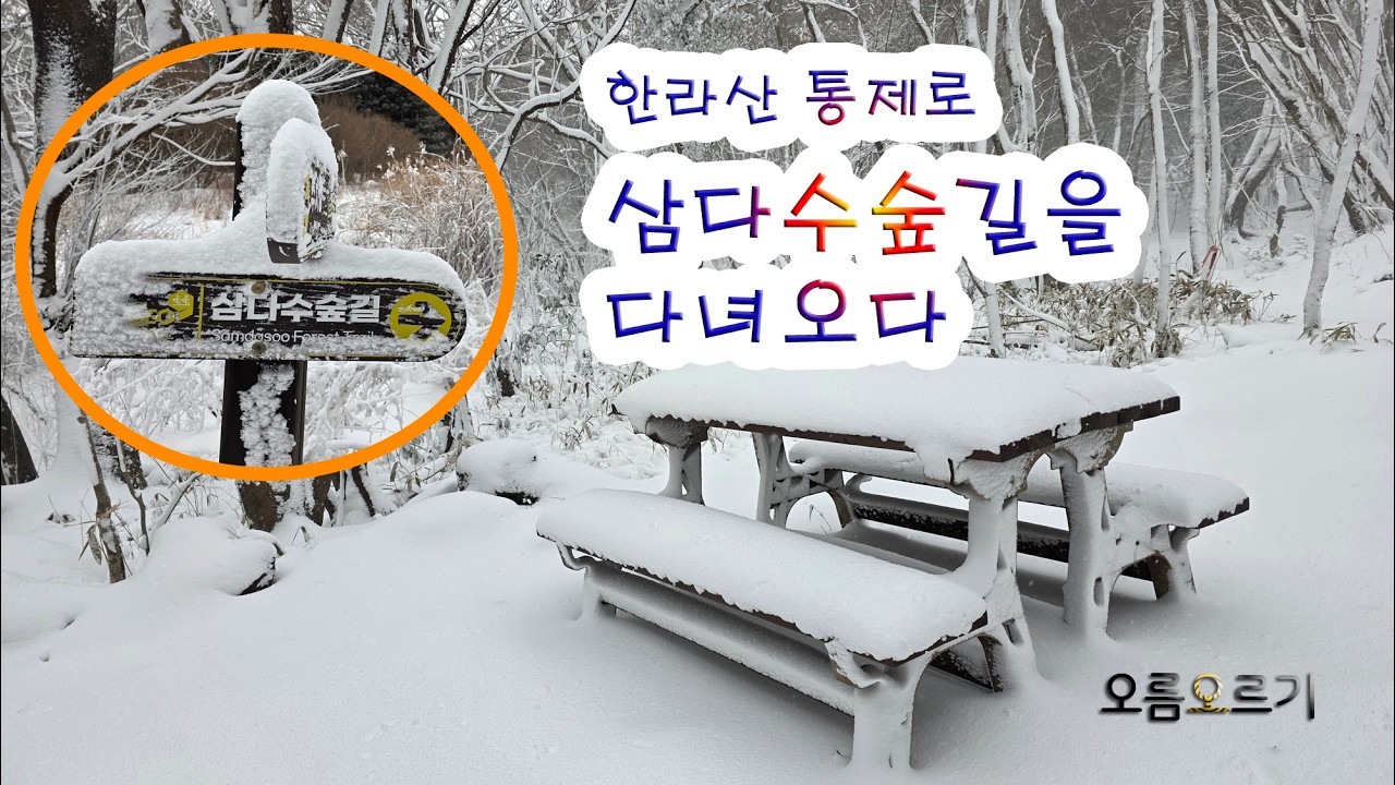 송탁 산행일기201(삼다수 눈 숲길)