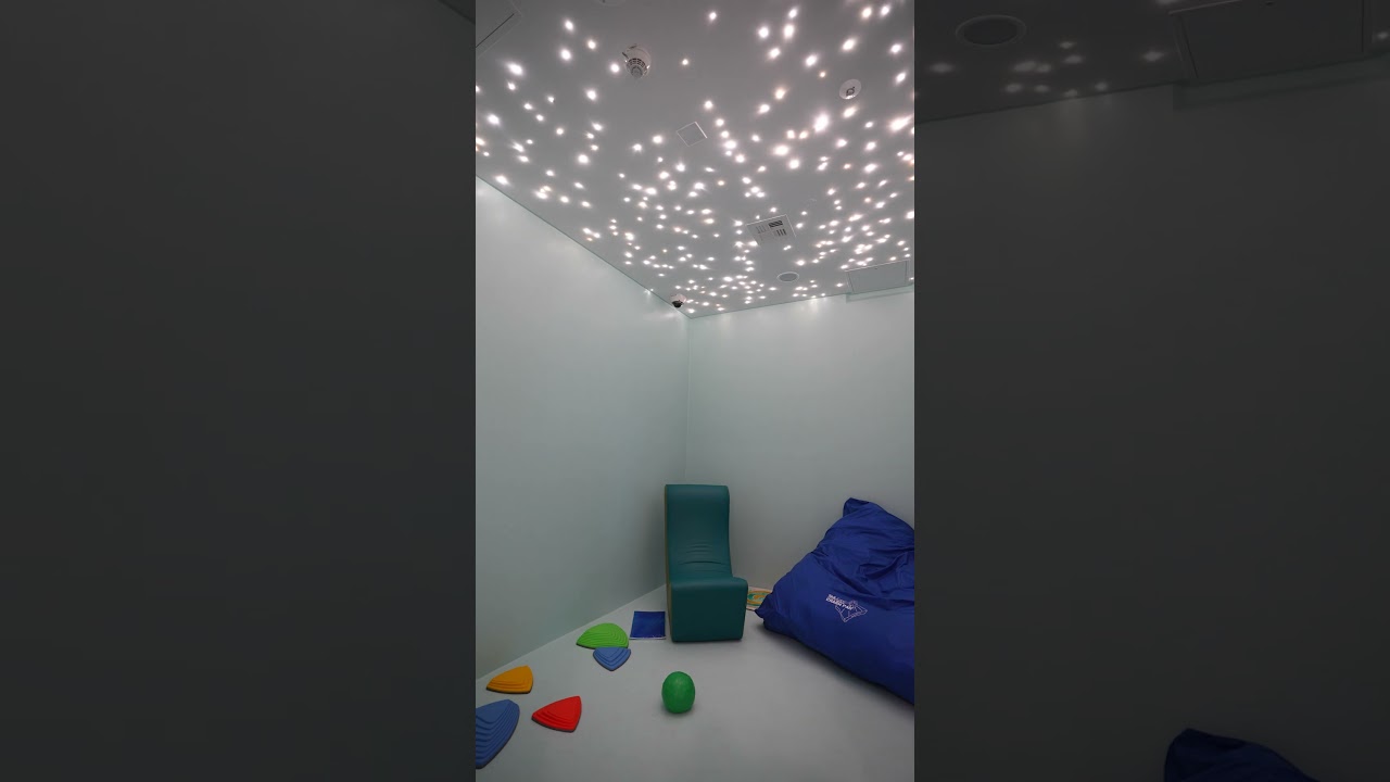 Helen DeVos Children&rsquo;s Hospital&rsquo;s Pediatric Medical Psychiatric Unit