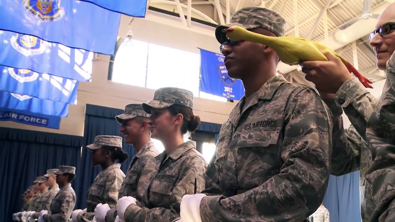 USAF Honor Guard rubber chicken bearing test