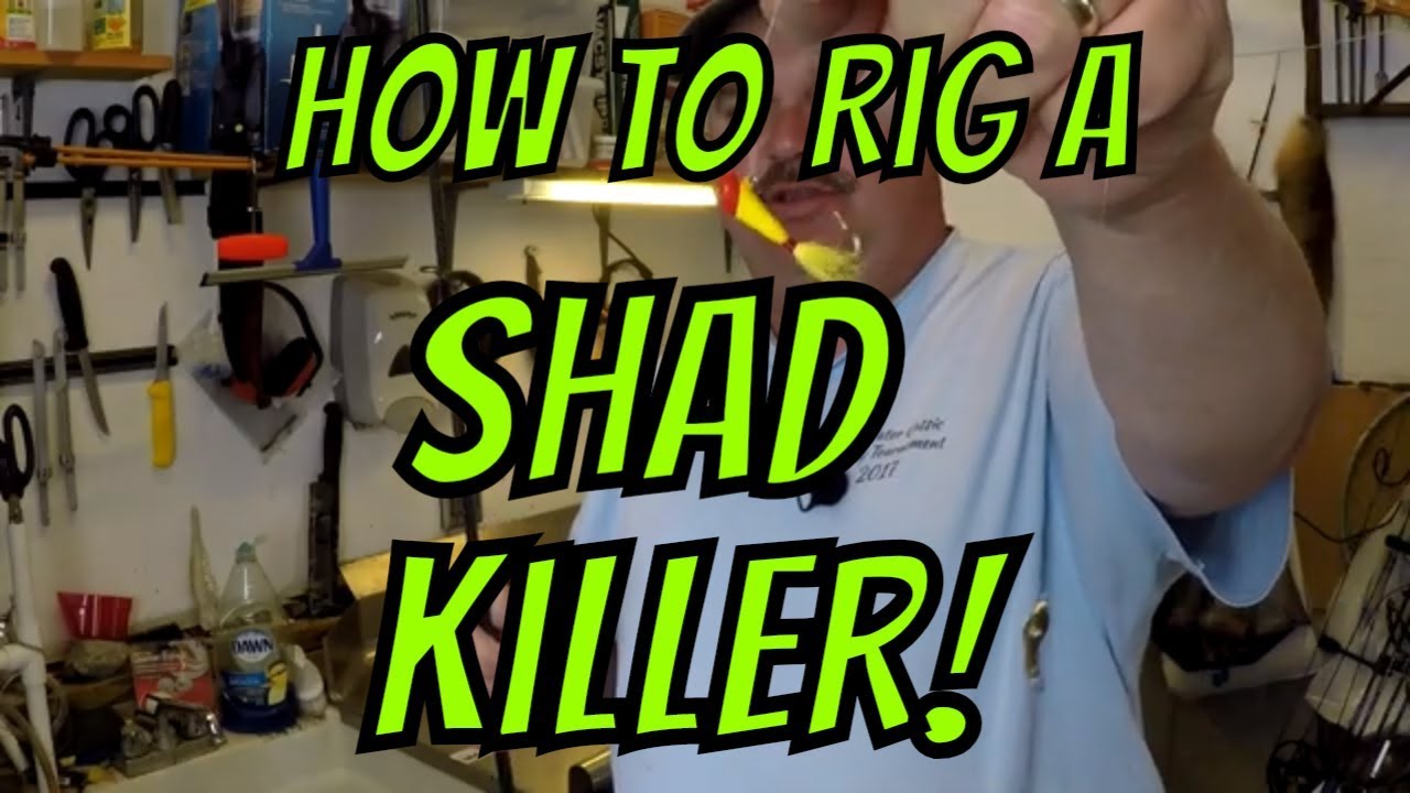 Оснастка для ловли сельди Shad Killer Rig