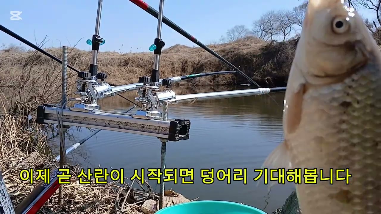 26.03.08.붕어낚시