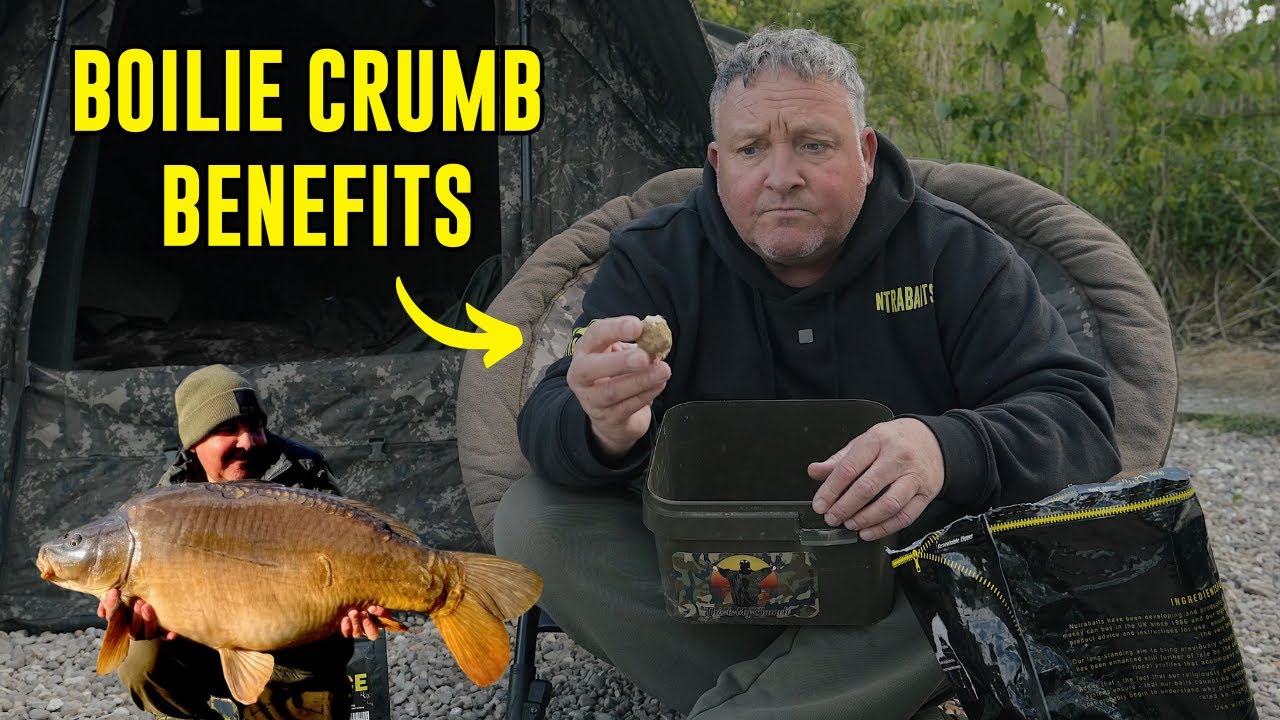 GERRARD - THE BENEFITS OF USING BOILIE CRUMB WHEN TARGETING BIG CARP