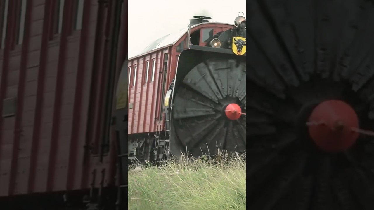 Thundering Steam Beasts Unleashed!