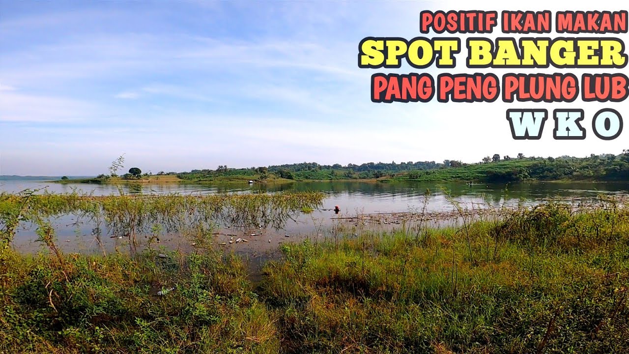 Positif Ikan Makan | Spot Banger WKO
