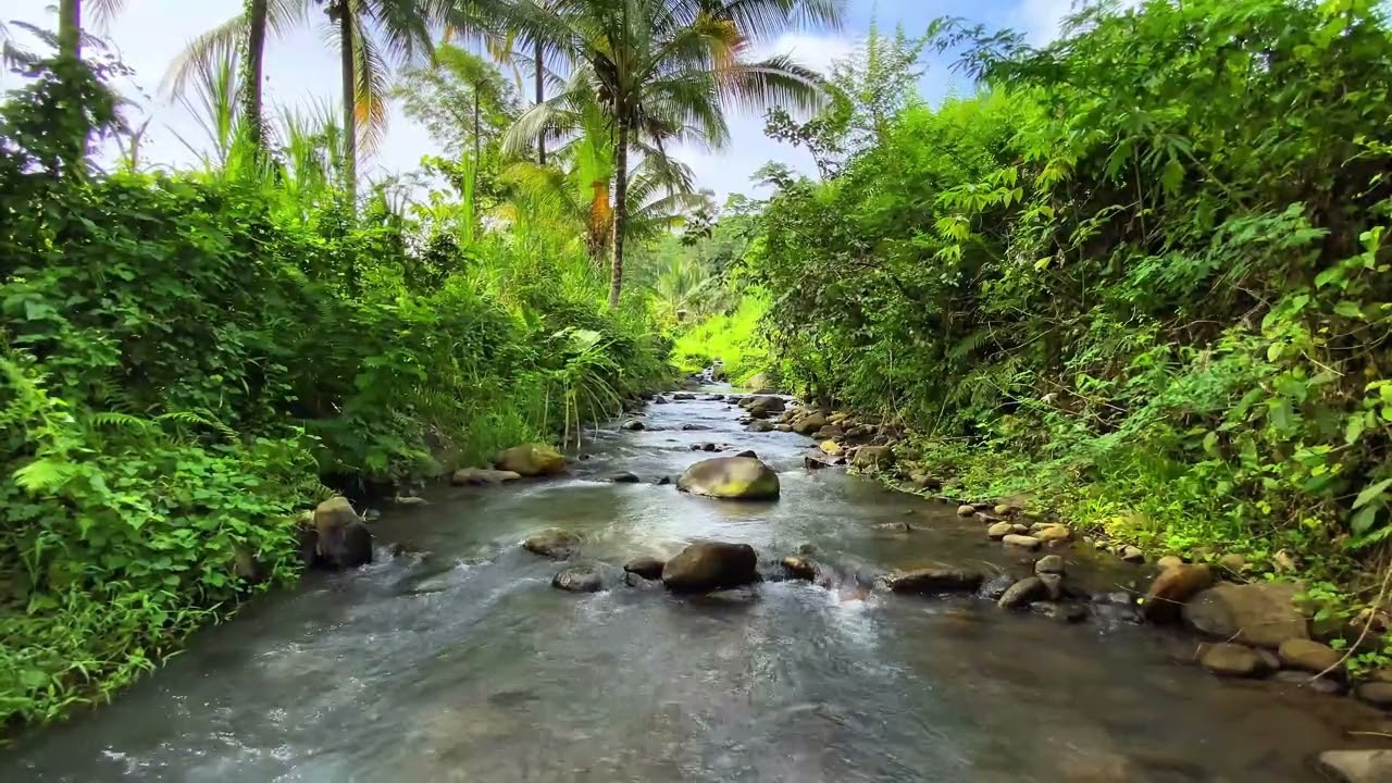 💤 Deep Relaxation Mode 🌊 Natural River White Noise