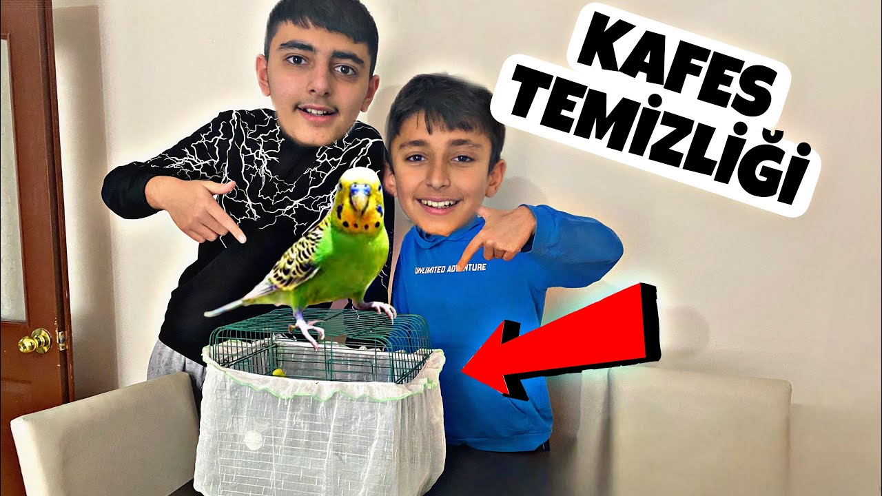 YUNUS EMRE VE METİNALİ LİMON UN KAFESİNİ TEMİZLEDİ‼️