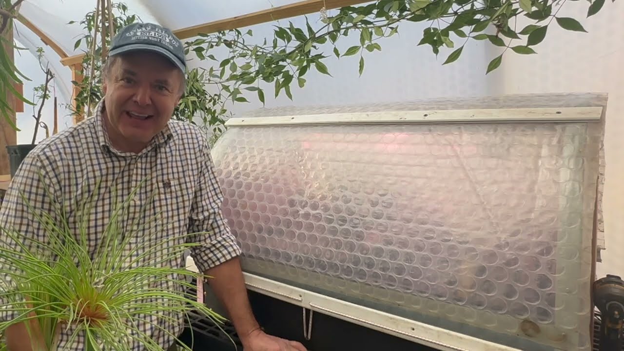 Large DIY thermostatic plant propagator - you can make this