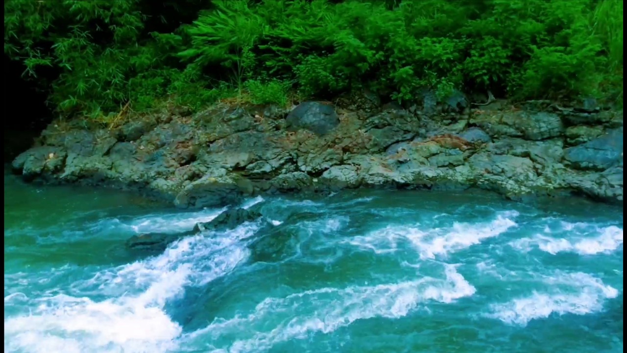 Tranquil River Ambience – Soft Stream and Forest Sounds for Deep Sleep and Inner Peace
