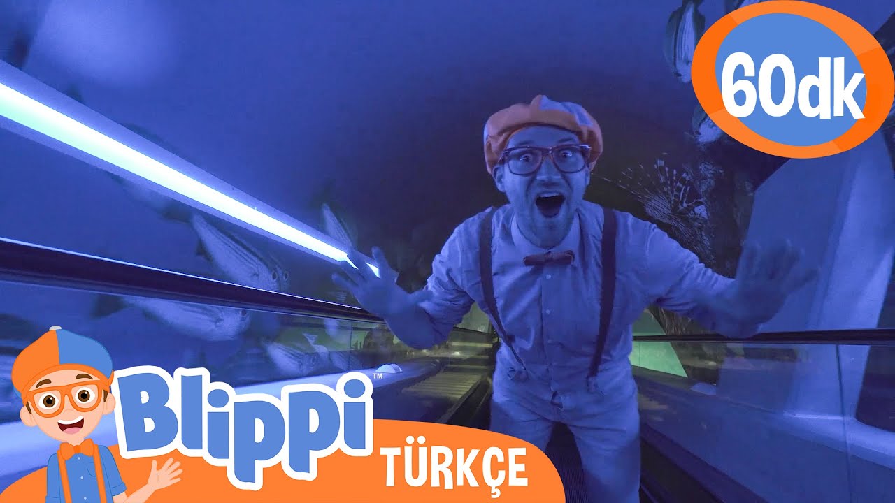 Blippi Bir Akvaryumu Ziyaret Ediyor 🐟 | Blippi Türkçe - Çocuklar için Eğitici Videolar