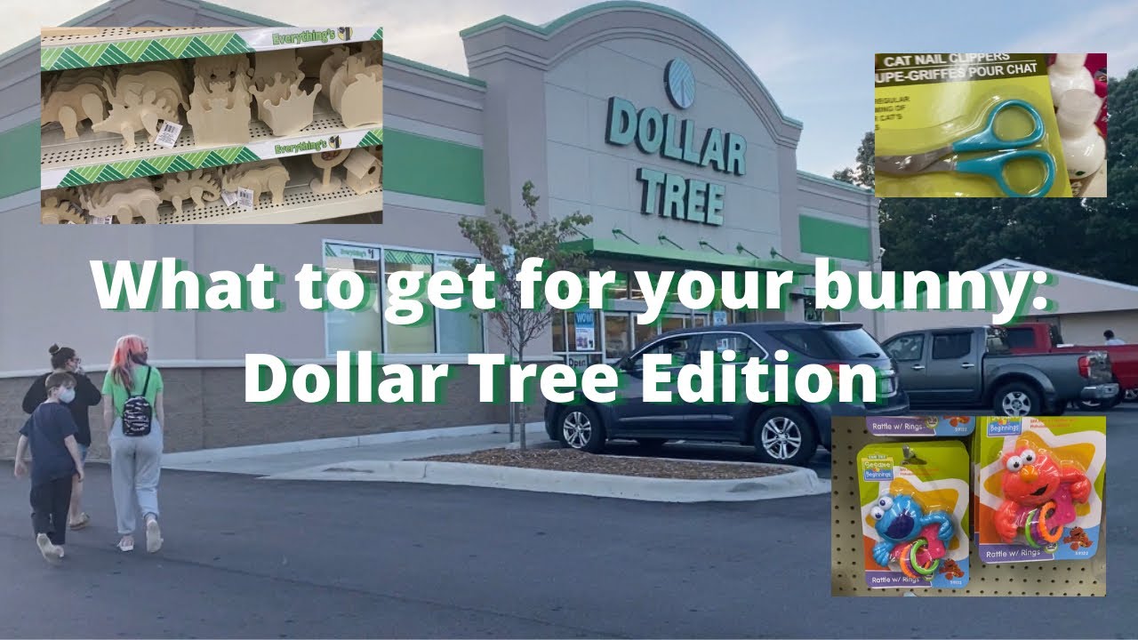What you can get for your rabbit: Dollar Tree Edition // Dollar Tree Haul
