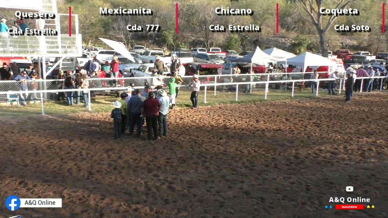 Chicano vs Quesero vs Mexicanita vs Coqueta Carril Agua Caliente 01/02/26