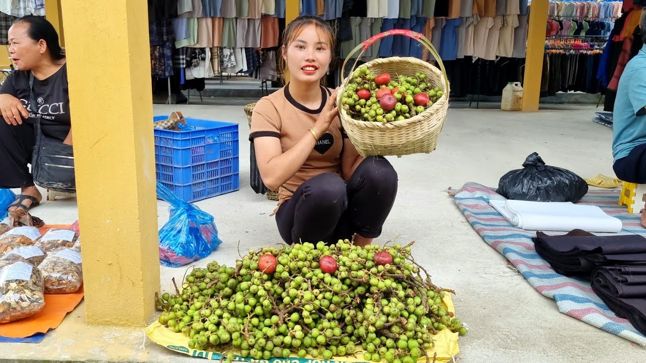 FULL VIDEO 60 days ; Harvest 600kg, fruits, trees, natural, bring to the market to sell ,Daily life