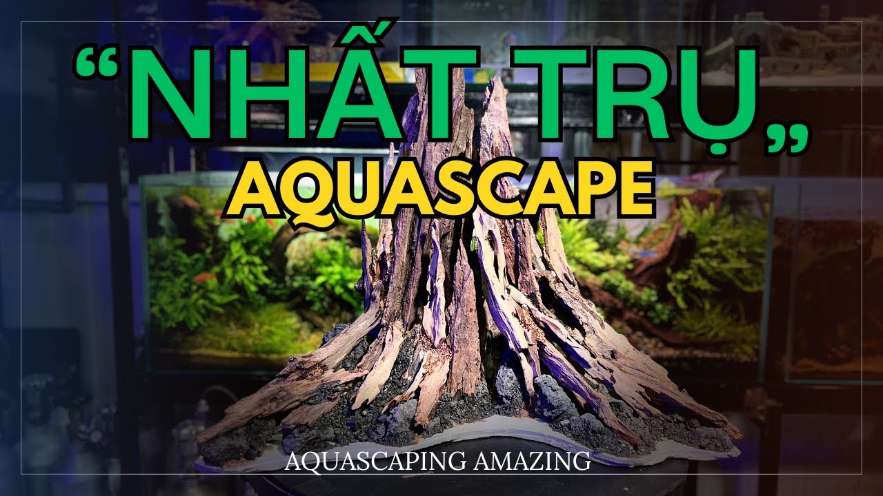 The One Pillar Aquascape – A True Masterpiece In Viet Nam!