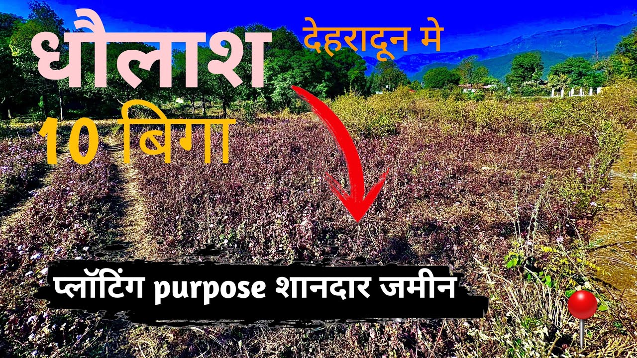 धोलाश देहरादून मे सस्ते रेट मे 10 बिगा जमीन ||#property #trending #plotforsale  #vlog #investment 