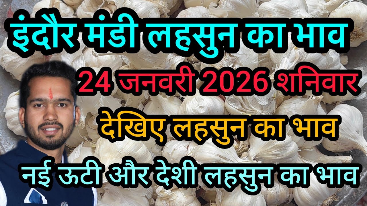 24 January 2026 indore mandi lahsun ka bhav 