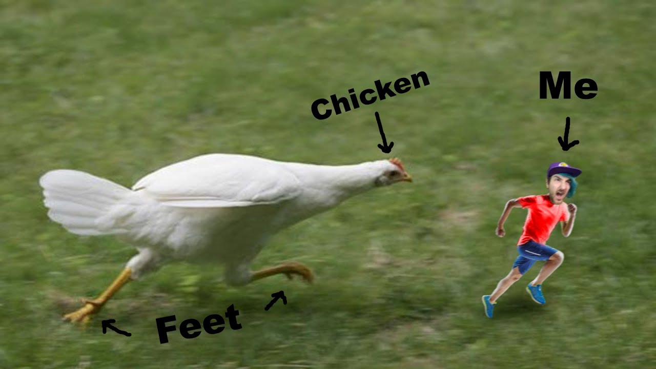 Don't get CLUCKED! Nntndork Plays Horror: Chicken Feet Gameplay (Scary steam game!)