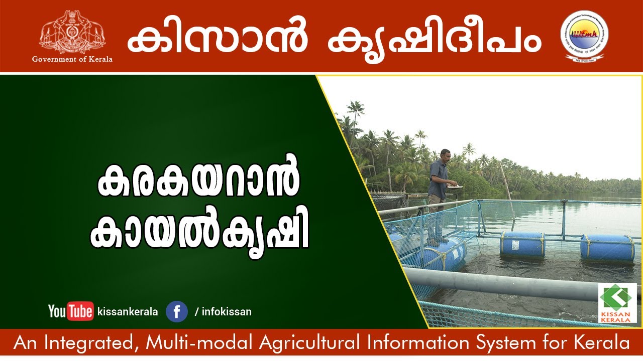 How to make Huge profit from intensive aquaculture cultivation in backwaters. A success story