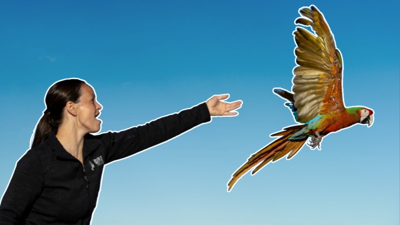If You LOVE Something, LET It Go!