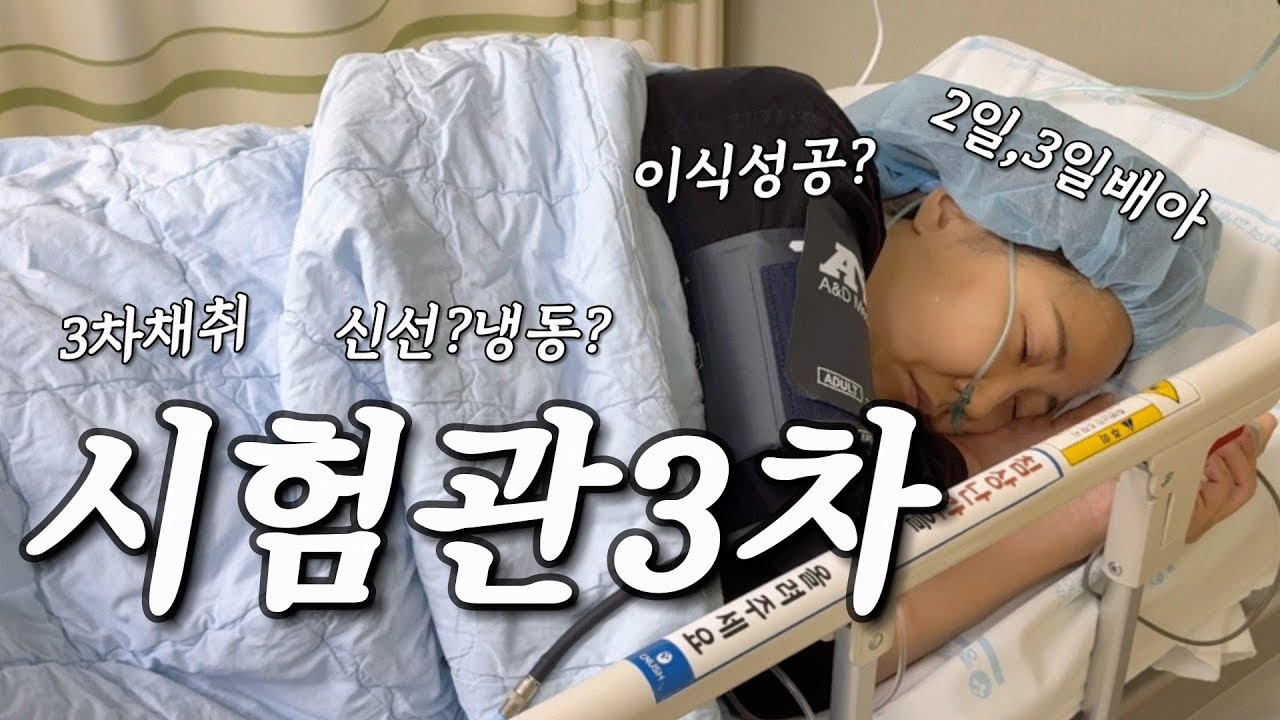 40대 시험관 3차 | 주사어디까지 맞아봤니? | 채취하고 구토하고 | 신선이식? 냉동이식? 