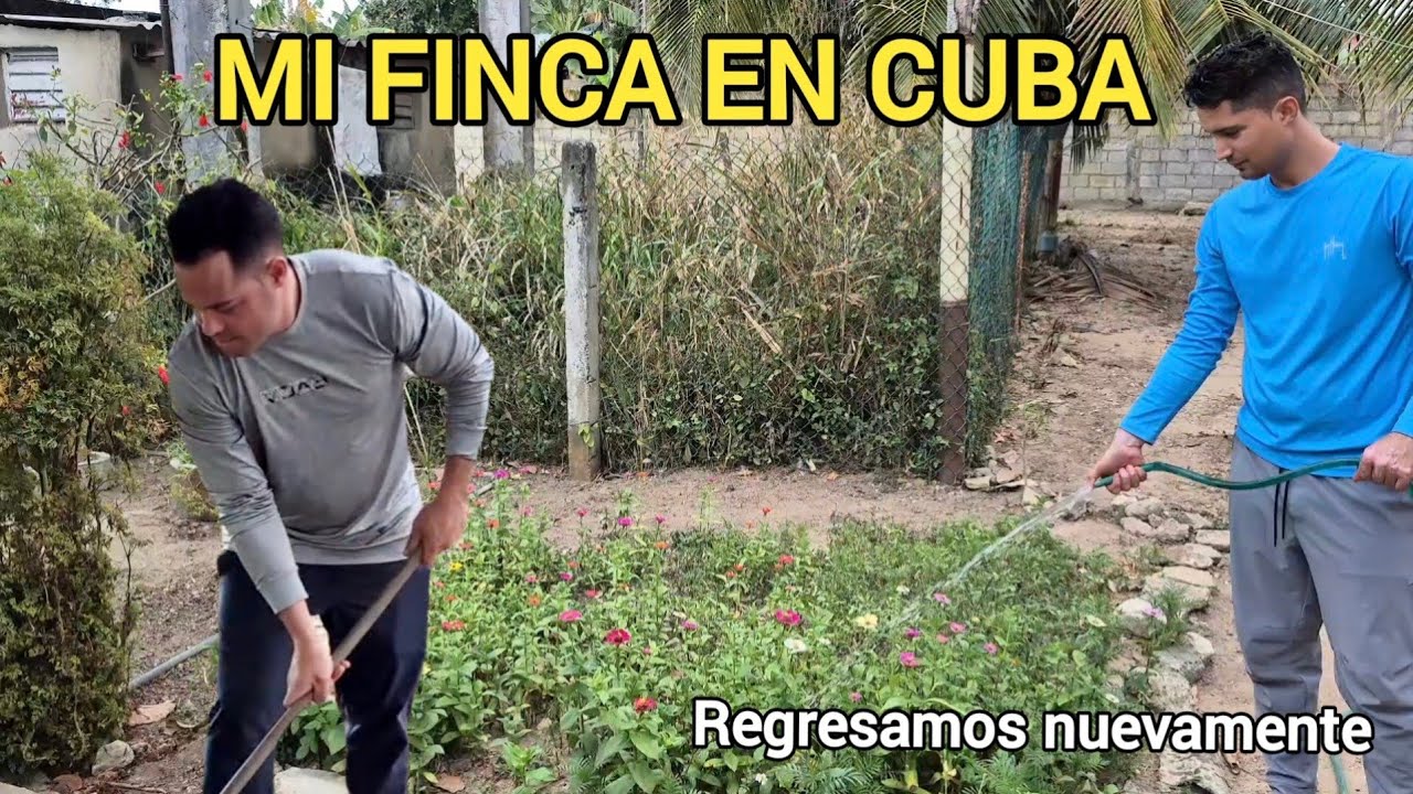 Después de tanto tiempo regresamos a trabajar en mi Finca En Cuba.