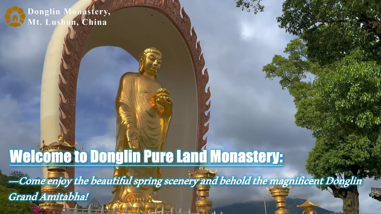 Come enjoy the beautiful spring scenery and behold the magnificent Donglin Grand Amitabha！