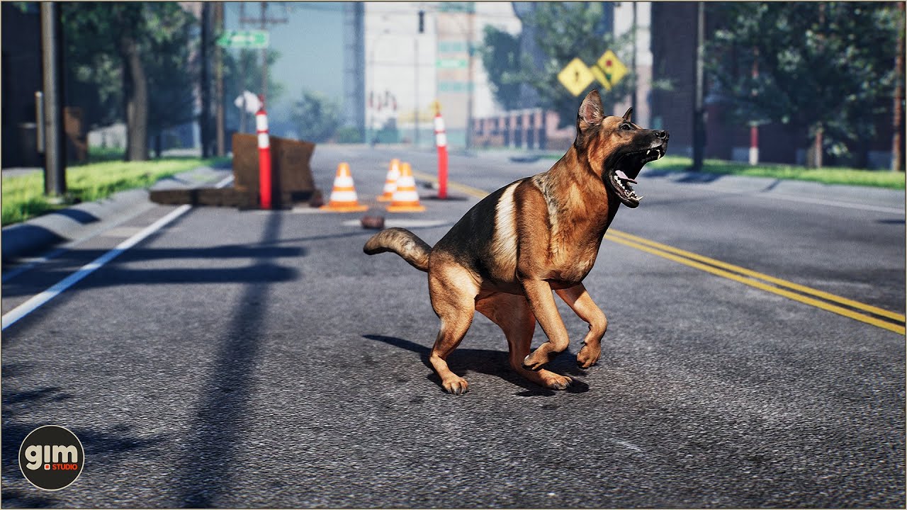 German Shepherd animation preview