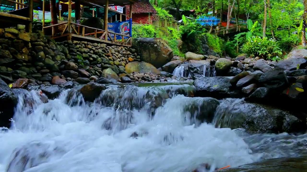Nature Peaceful River Ambience with Birdsong for Relaxation 💦🐦