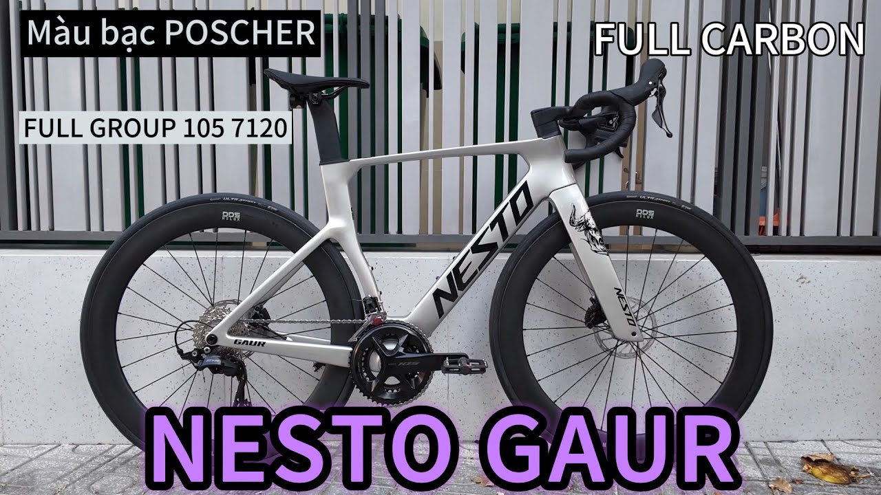 NESTO GAUR 2025 | màu bạc poscher siêu hot 