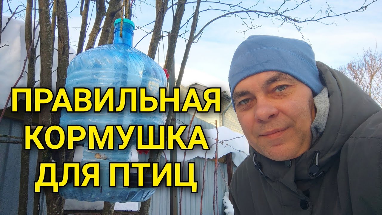 НА ЭТУ КОРМУШКУ СЛЕТЕЛИСЬ ВСЕ ПТИЦЫ С НАШЕГО РАЙОНА🐦