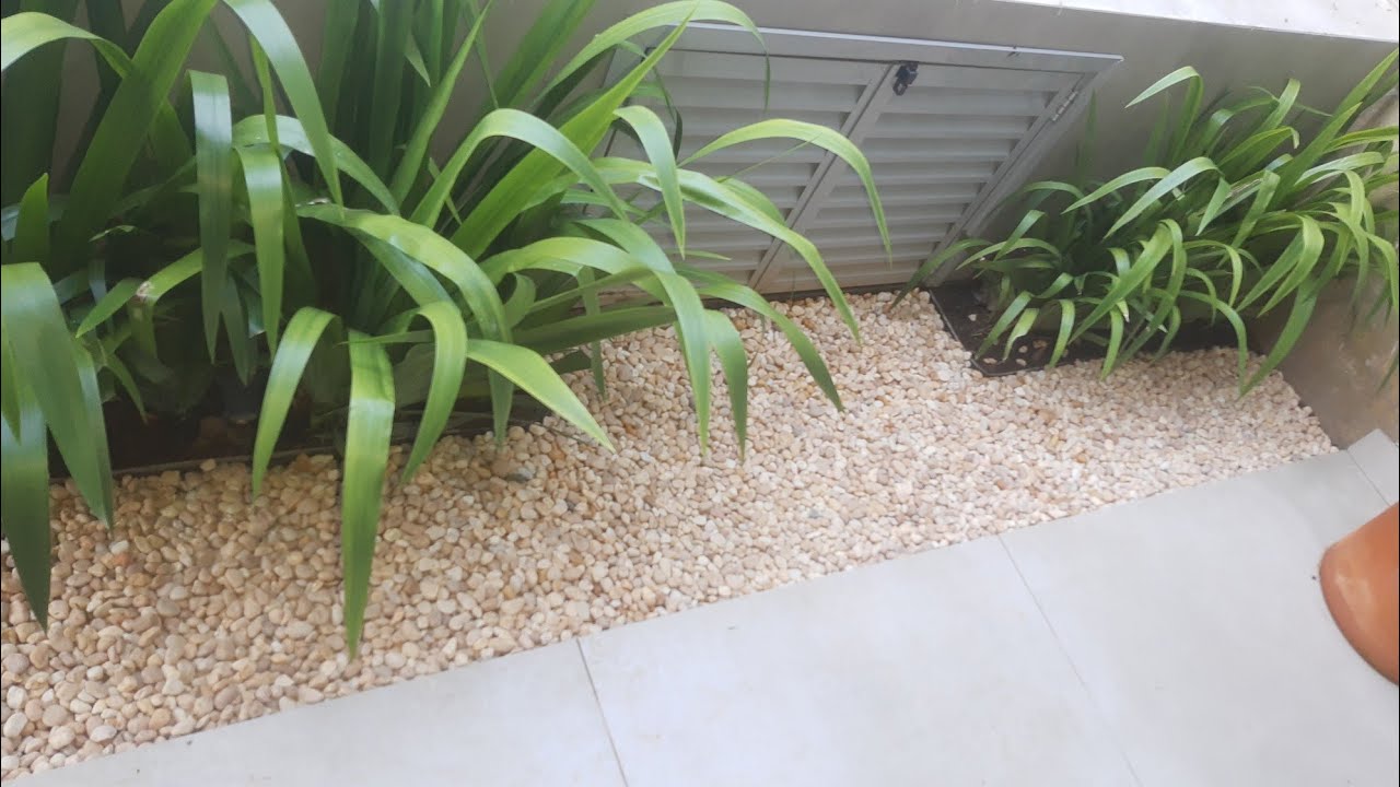 Dicas de como utilizar pedras no jardim