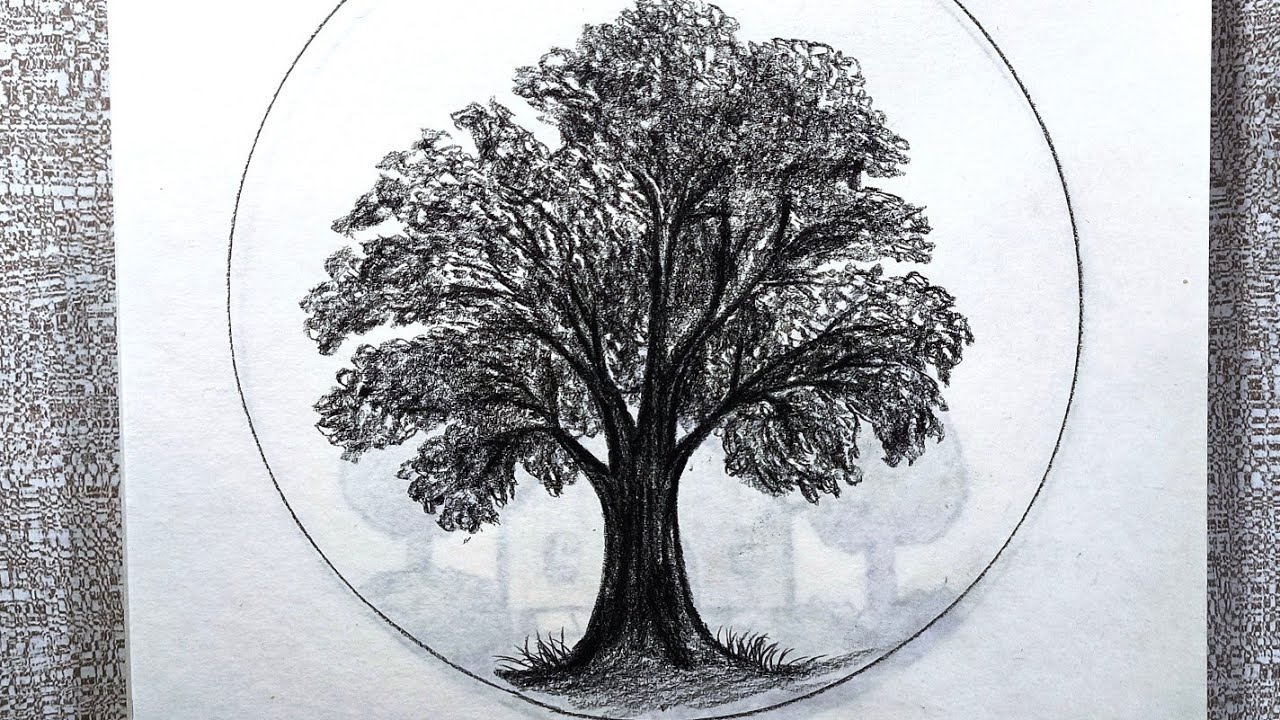 Simple/How to draw a tree by pencil/how to draw tree landscape scenery drawing by pencil #art