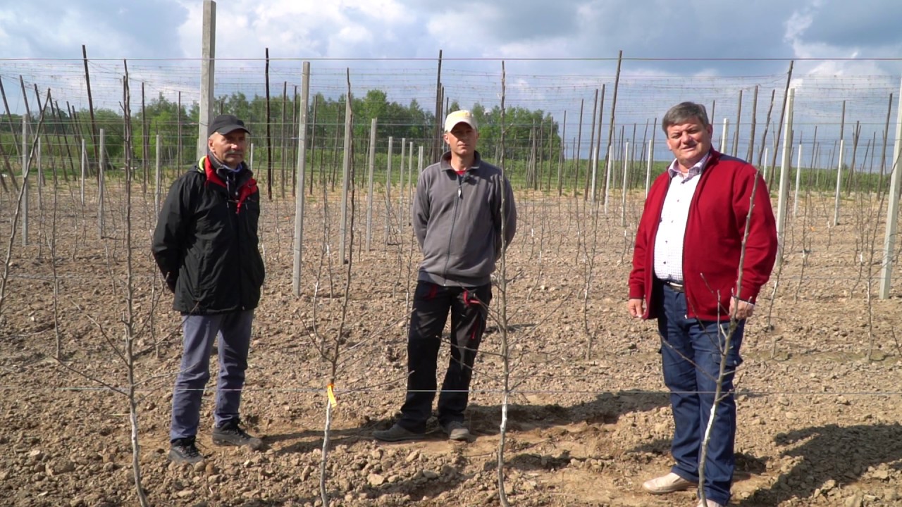 Z wizytą w nowo założonym sadzie – Zbigniew Marek i Marek Bielak