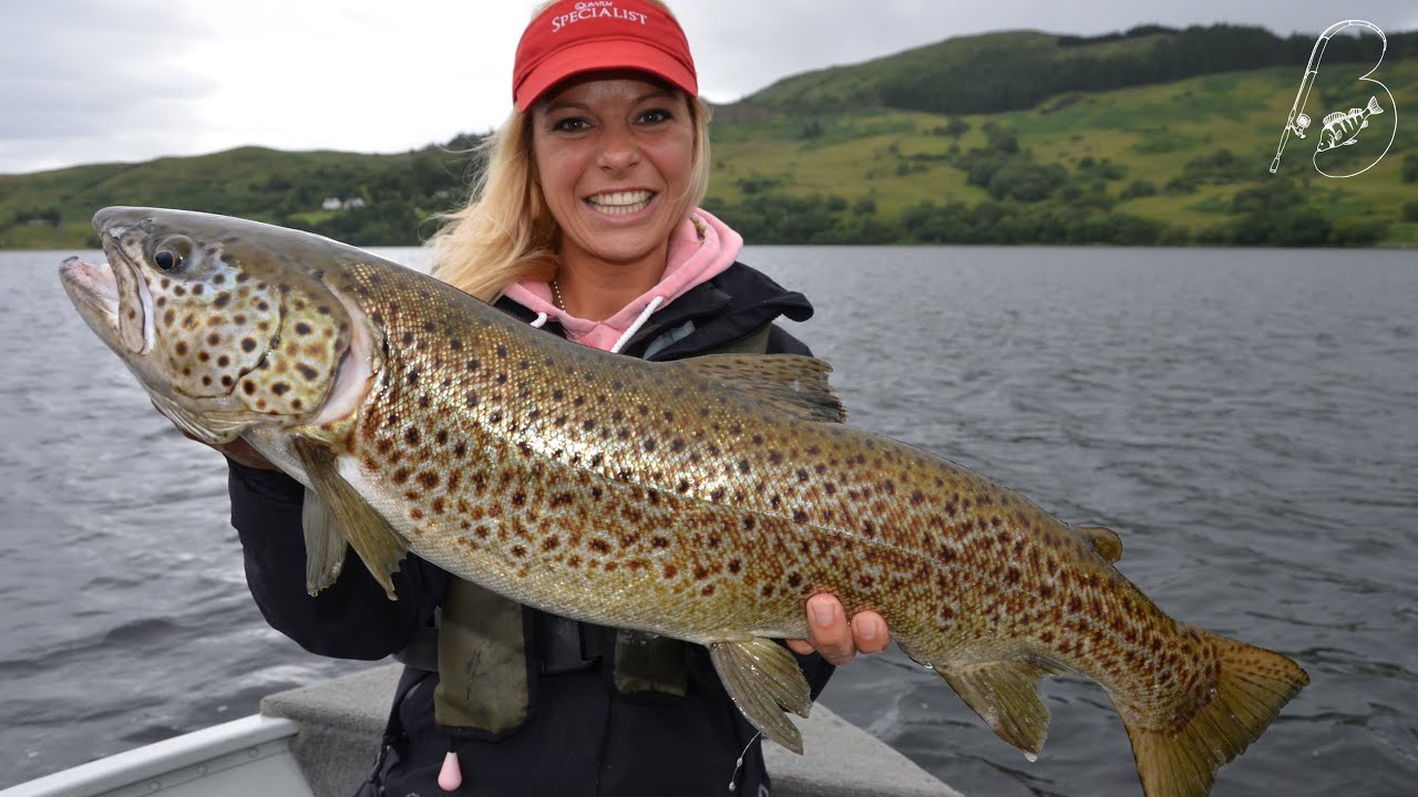 Irland´s Salmoniden