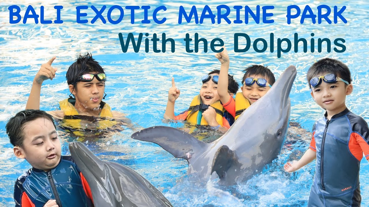 With the Dolphins at Bali Exotic Marine Park 2024
