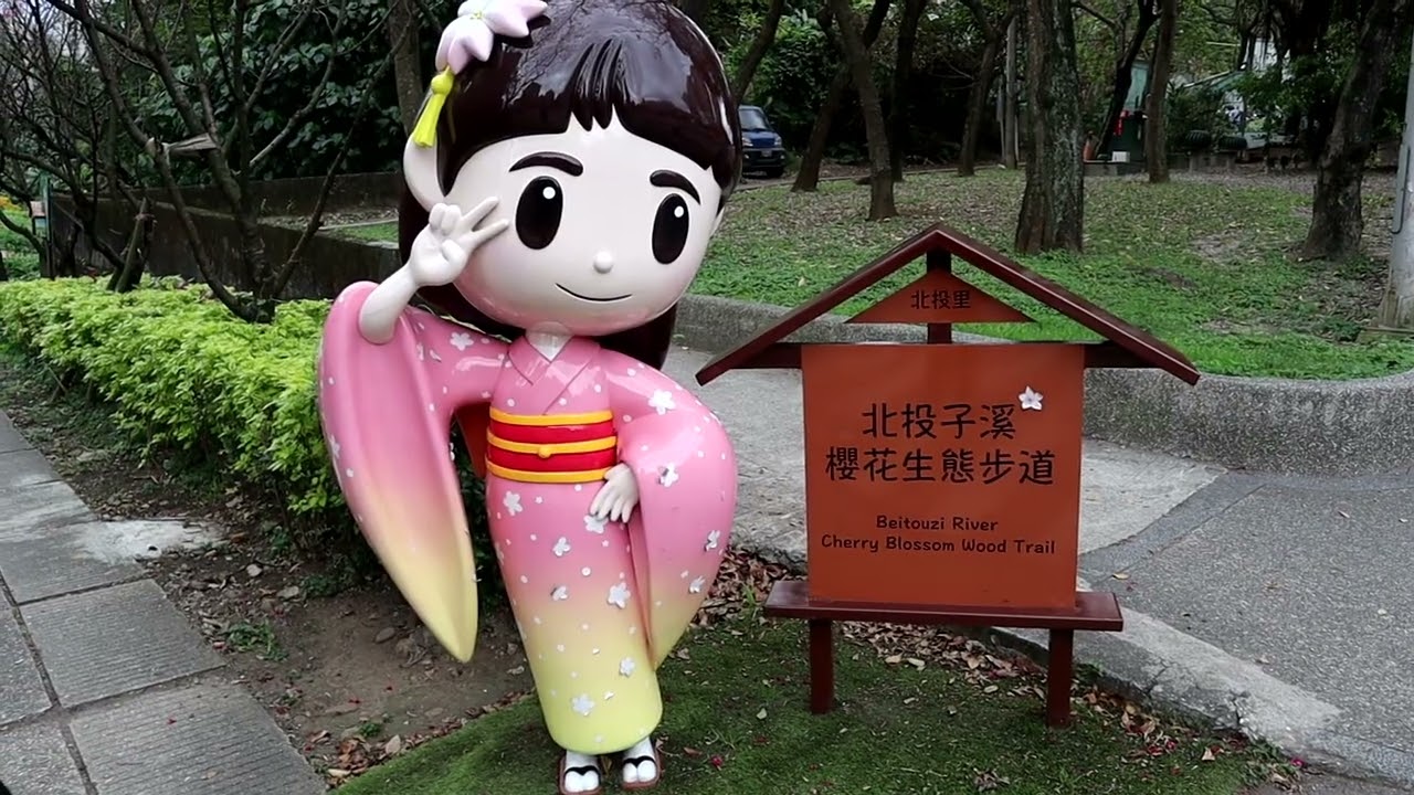 2026春花祭－北投子溪櫻花生態步道、滬尾櫻花道