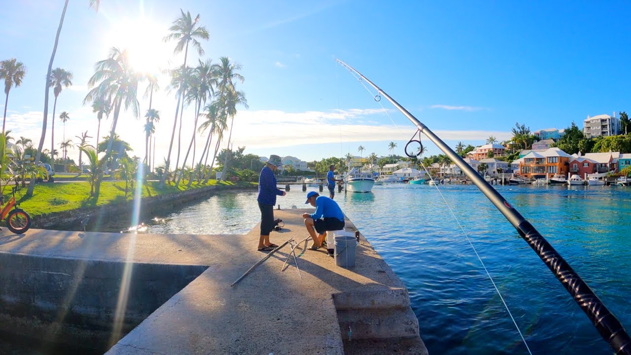 FINALLY BACK FISHING on the Beautiful Island of BERMUDA | 2023